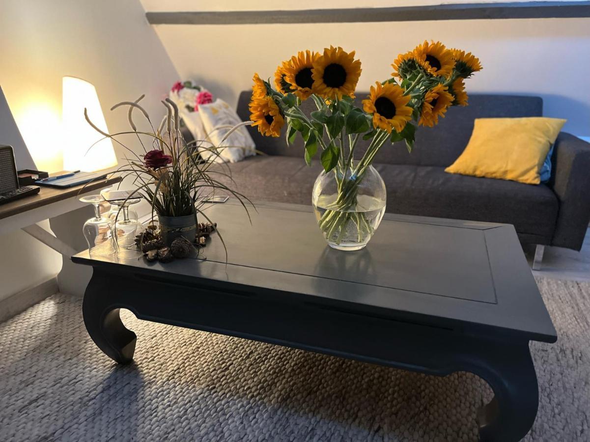Maison 4 Personnes Confort Alentours Boulogne Sur * Samer